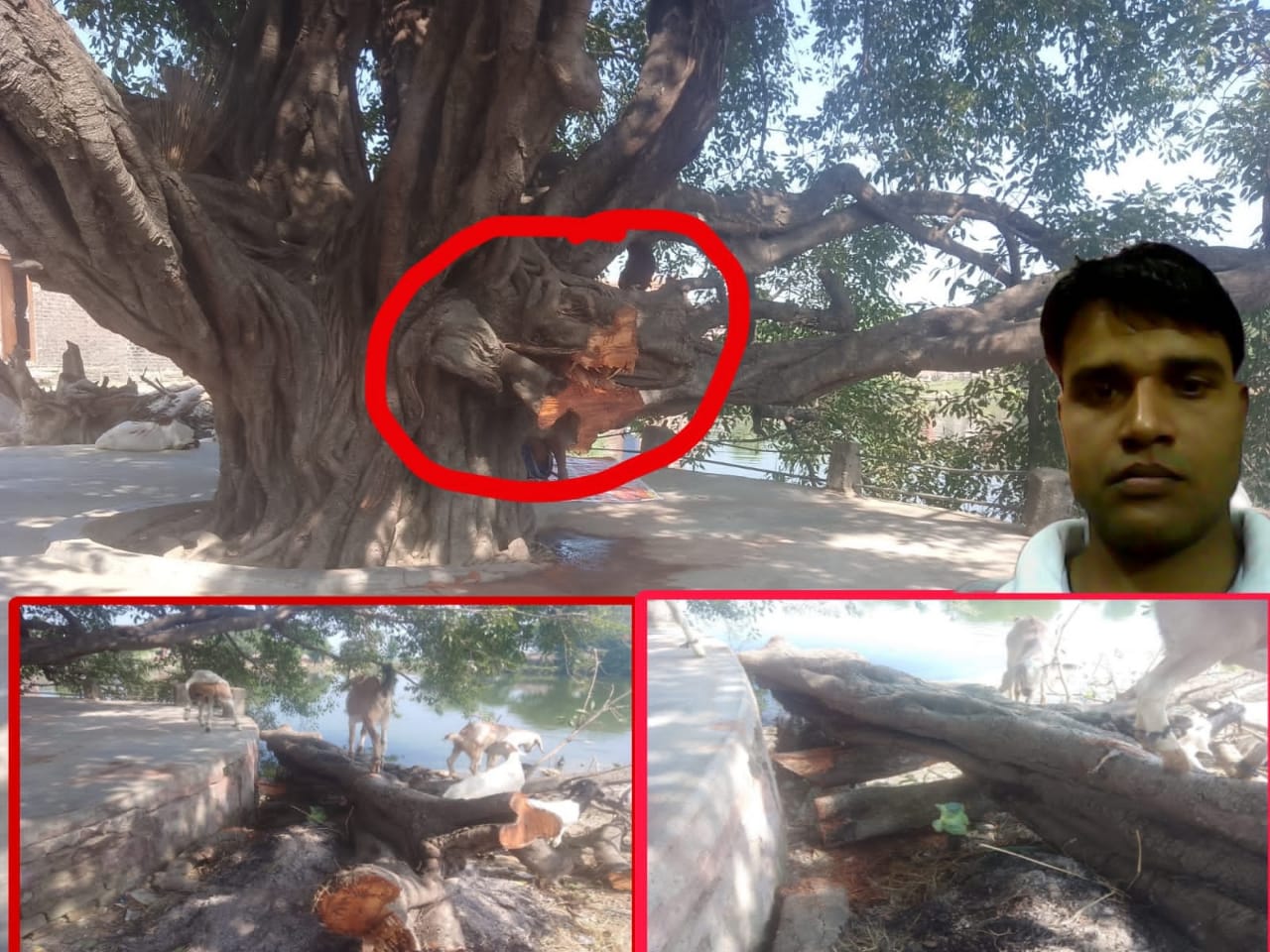 शहिदनगर नगरपालिकामा पुरानो चौतारालाई आज भोलि गाउँकै मानिसहरुले बर्बाद गर्दै